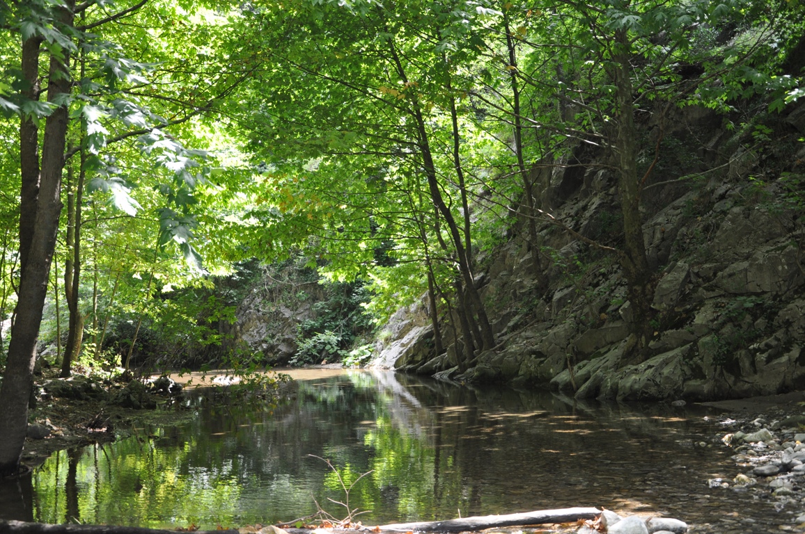 Serindere Kanyonu - Kocaeli
