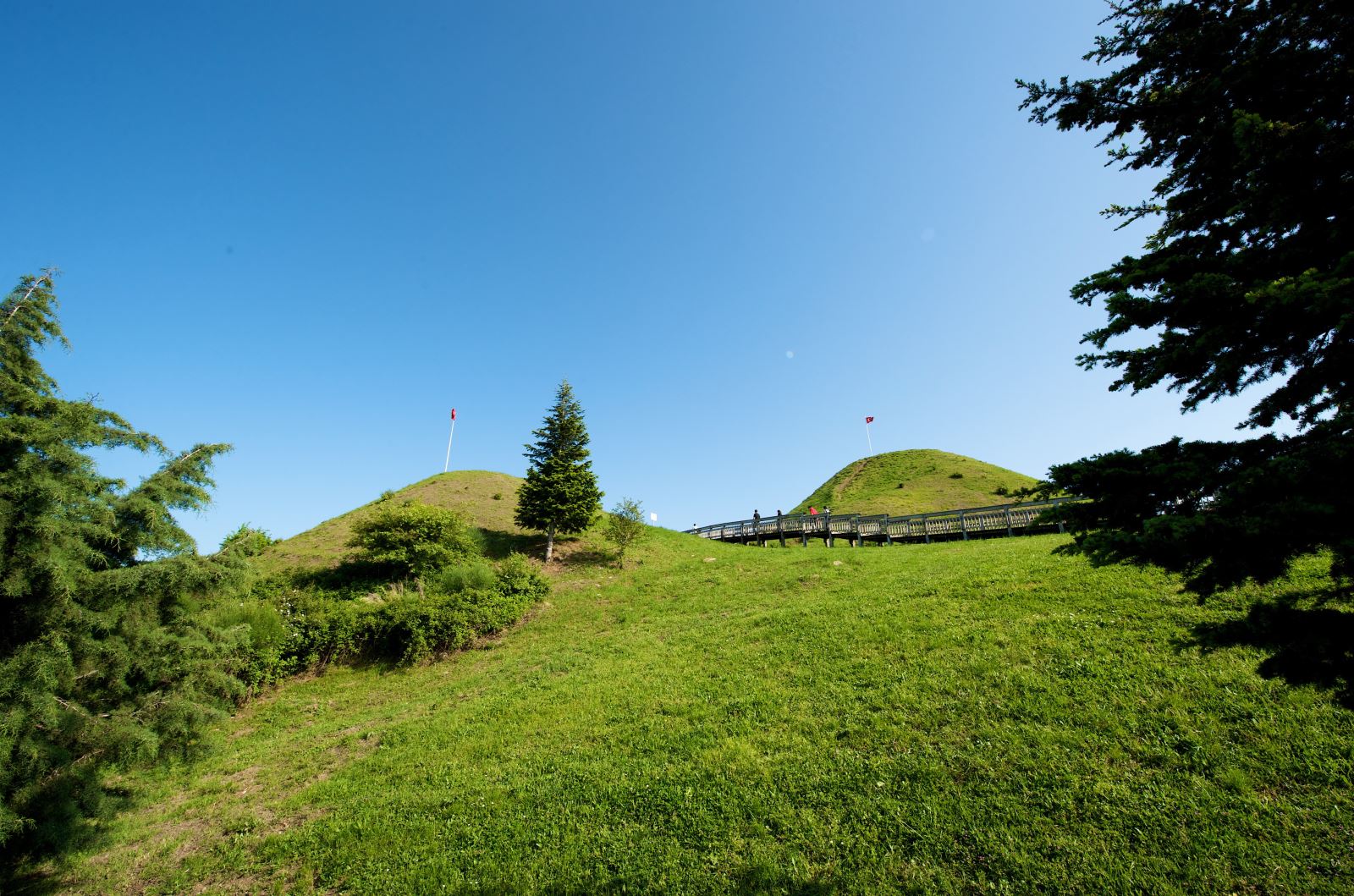 Amisos Tepesi - Samsun